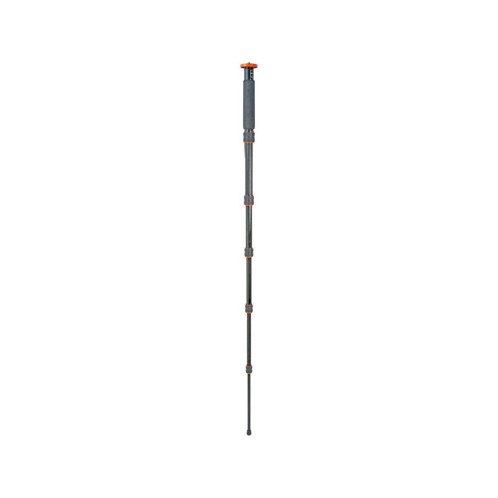Monopod de Basalto Gitzo GM3860C