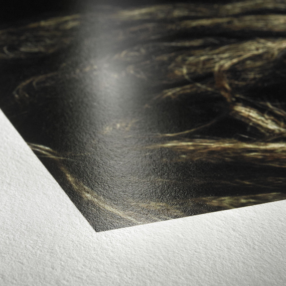 Rollo Fotográfico Hahnemuhle FineArt Photo Rag Baryta de 60''x12mt.