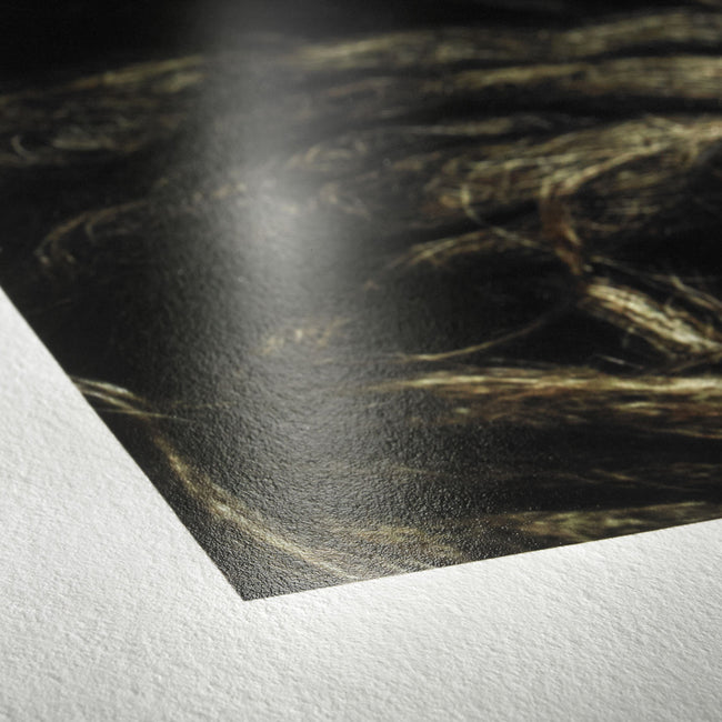 Rollo Fotográfico Hahnemuhle FineArt Photo Rag Baryta de 44''x12mt.