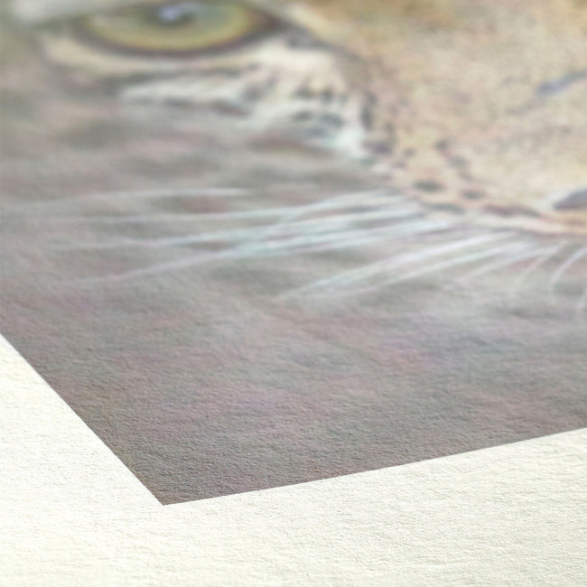 Papel Fotográfico Hahnemuhle FineArt Bamboo A2, 25 Hojas