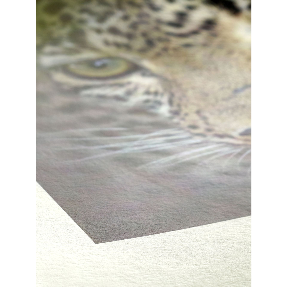 Papel Fotográfico Hahnemuhle FineArt Bamboo A3+, 25 Hojas