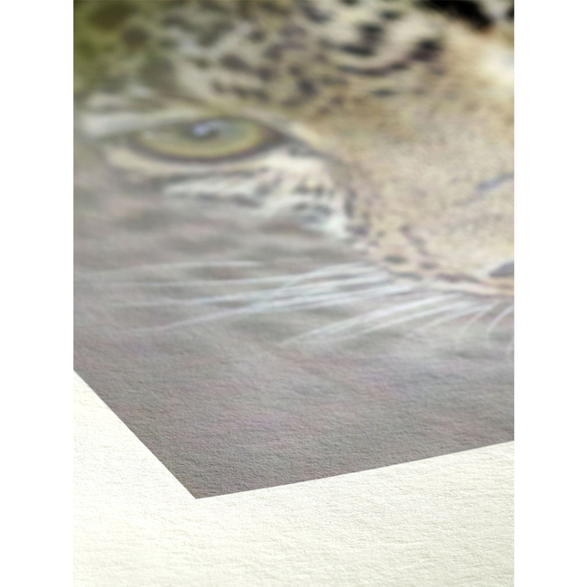Papel Fotográfico Hahnemuhle FineArt Bamboo A3+, 25 Hojas
