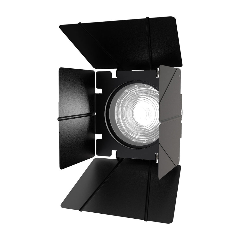 Barndoor Aputure F10