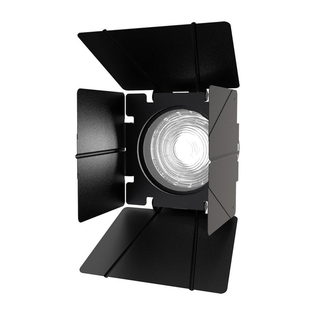 Barndoor Aputure F10